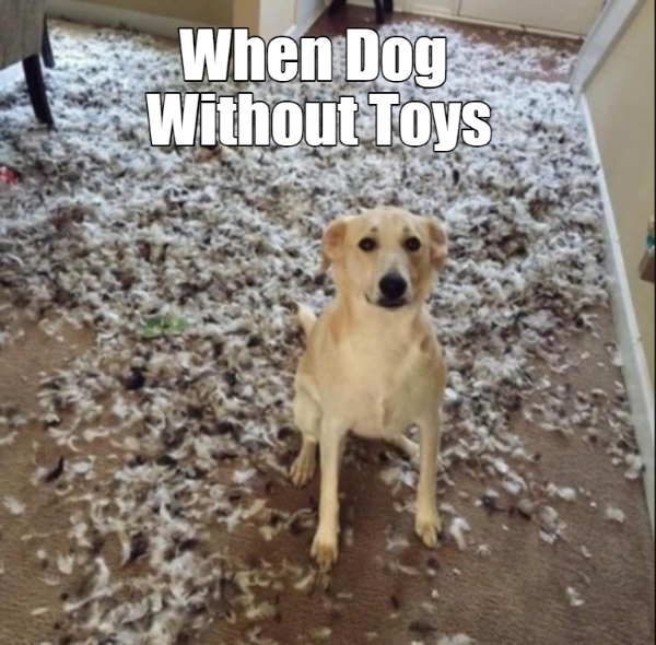 When Dog Without Toys 1 When Dog Without Toys